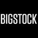 BigStock Logo